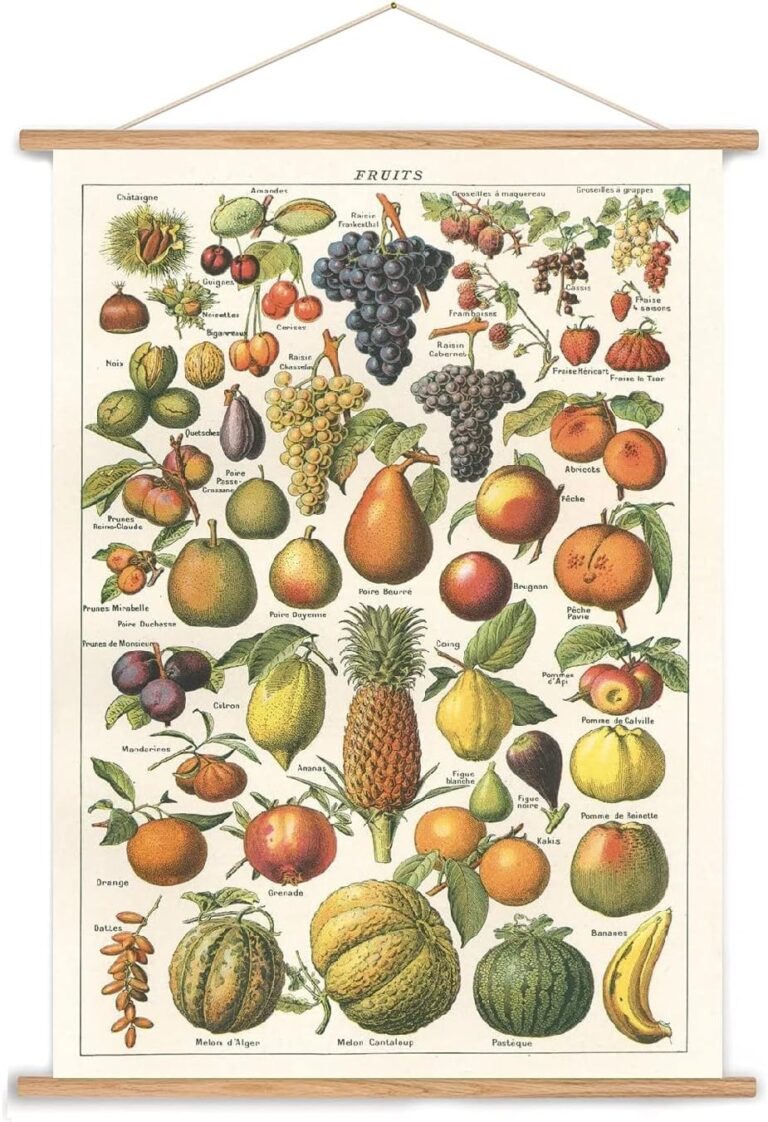 Cavallini Poster Fruits – OMOMAMA